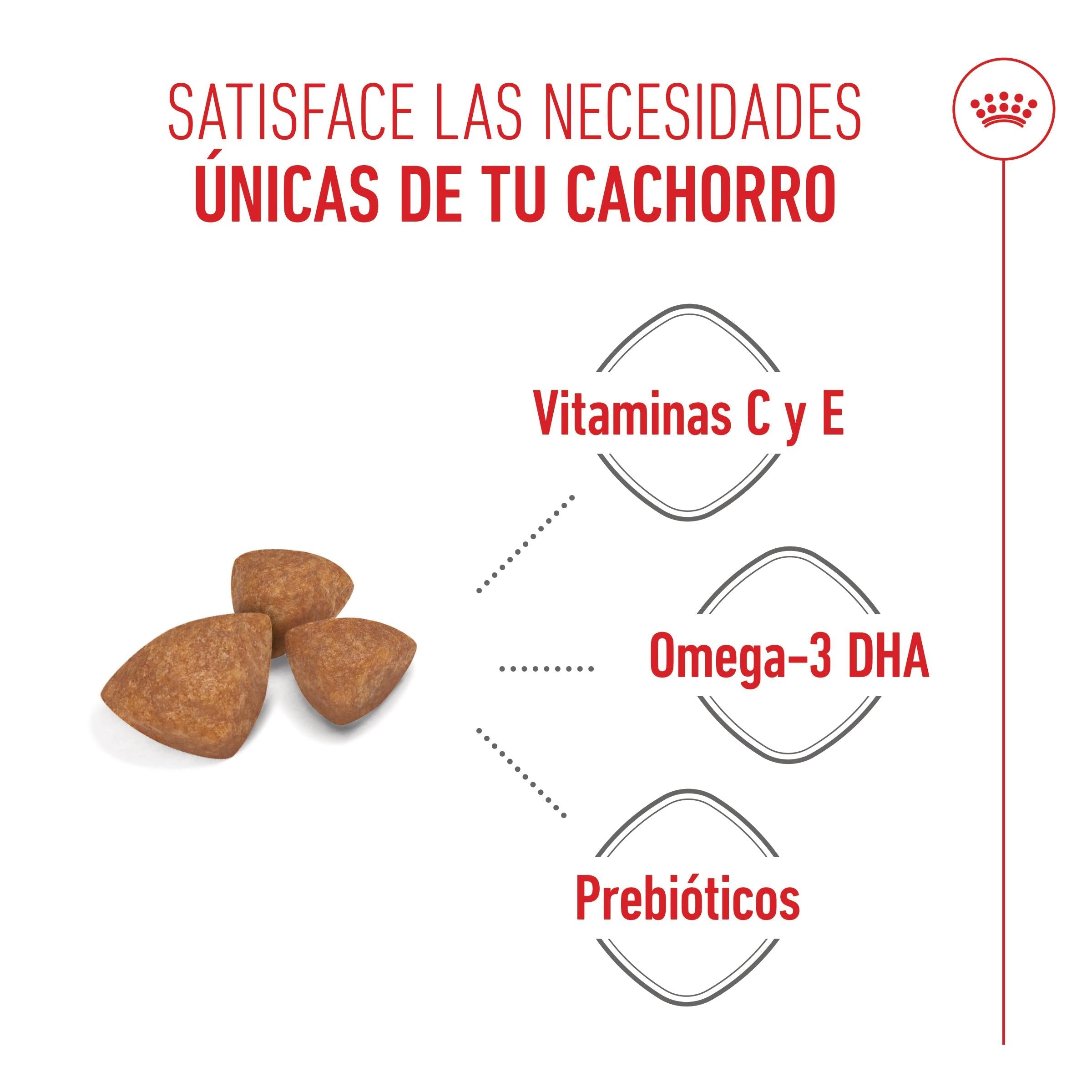 Royal Canin X-Small Puppy Pienso para Cachorros ROYAL CANIN Mascotas-Ávila