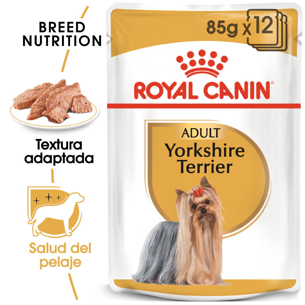 Royal Canin Yorkshire Paté Adulto 85 g Comida Húmeda para Perros ROYAL CANIN Mascotas-Ávila