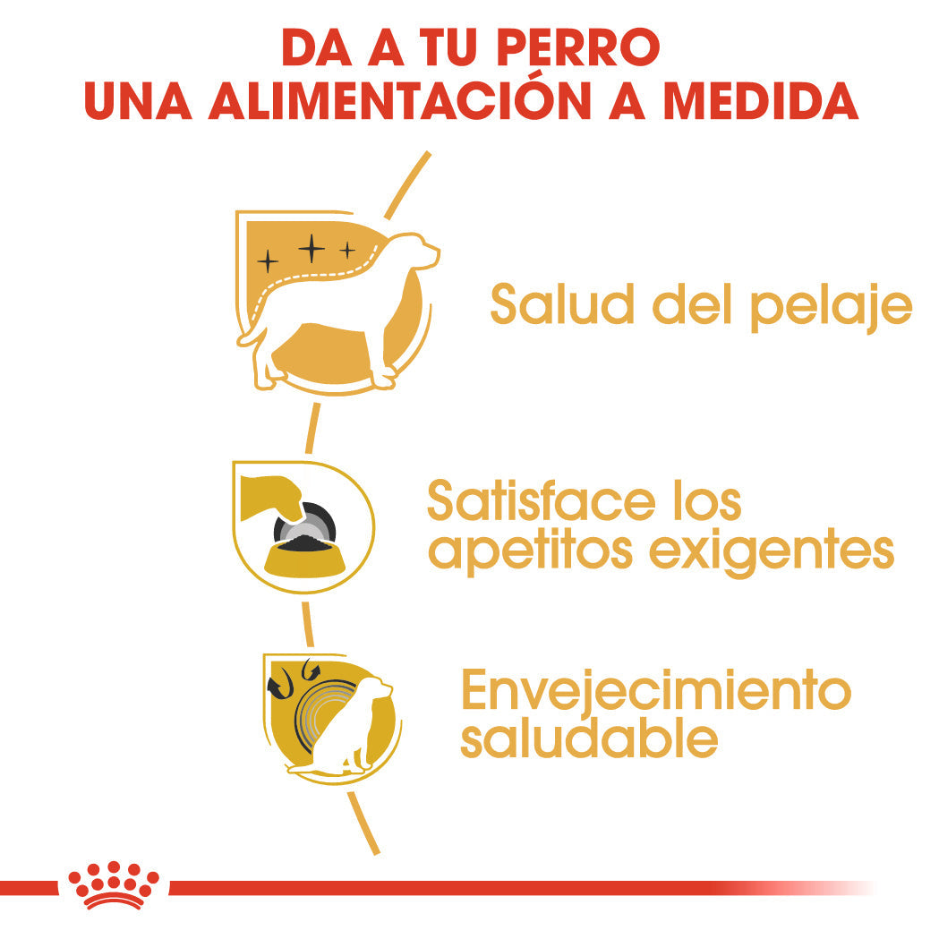 Royal Canin Yorkshire Terrier Adulto Pienso para Perros de Raza ROYAL CANIN Mascotas-Ávila