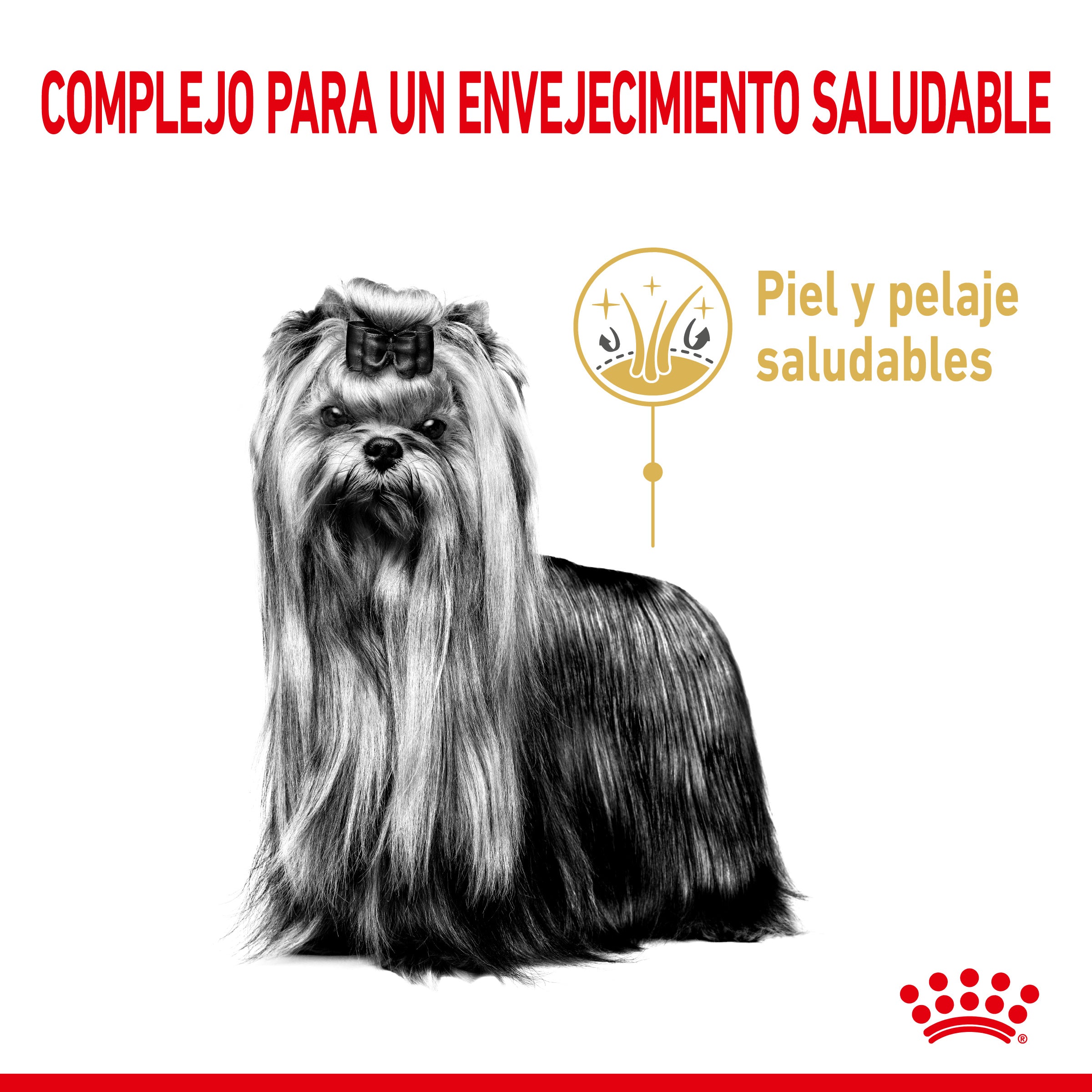 Royal Canin Yorkshire Terrier Ageing 8+ Pienso para Perros de Raza ROYAL CANIN Mascotas-Ávila
