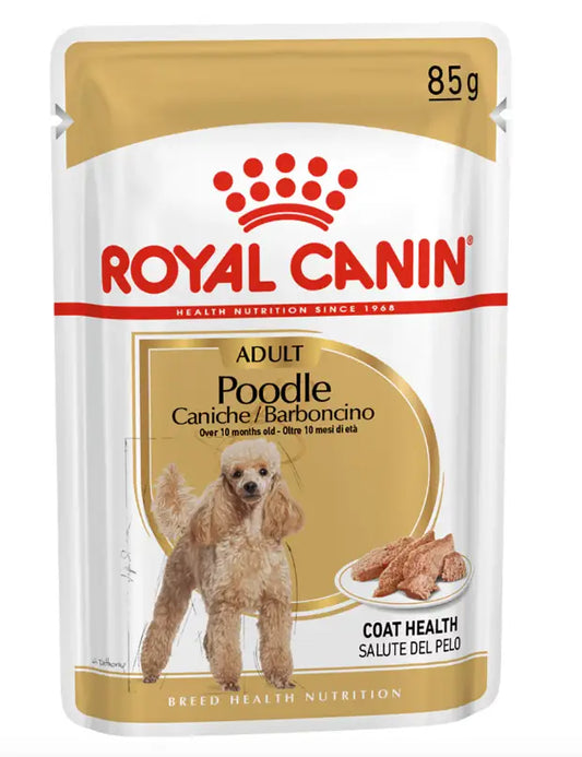 Royal Canin Caniche Poodle Adulto 85Gr Húmedo