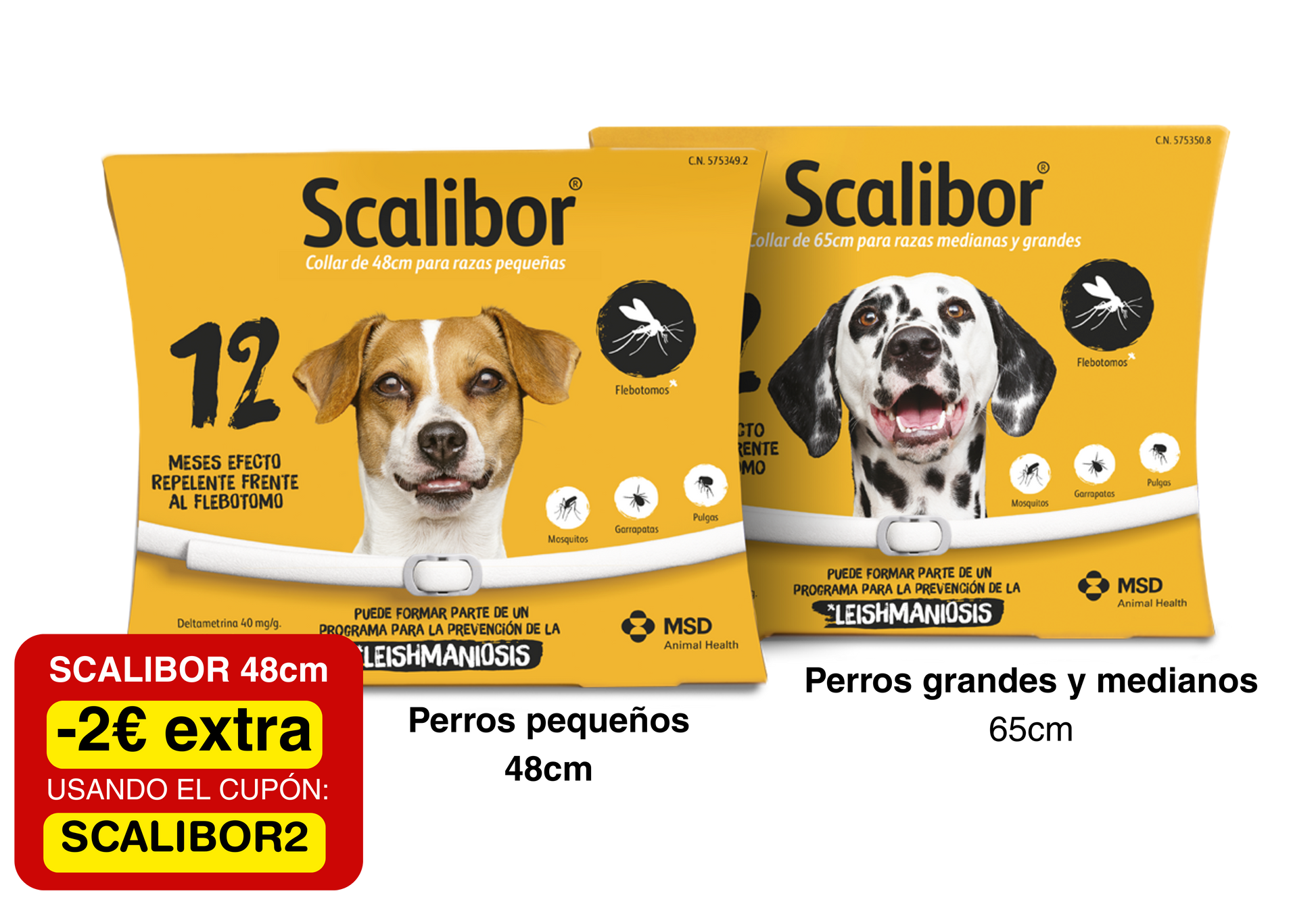 Scalibor Collar Antiparasitario para Perros | 12 Meses de Protección SCALIBOR Mascotas-Ávila