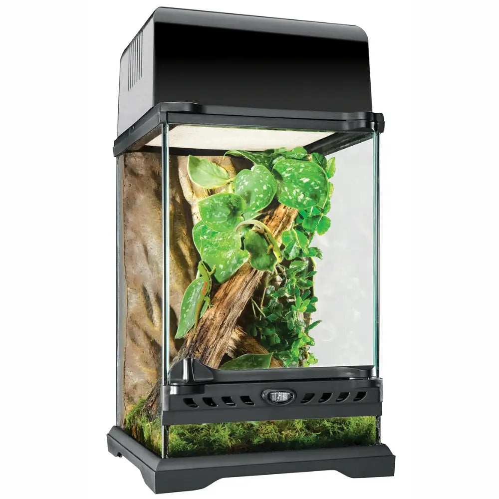 Terrario Exo Terra Nano 16L Tall 20x20x30 cm EXOTERRA Mascotas-Ávila