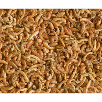 Tetra ReptoDelica Gammarus TETRA Mascotas-Ávila