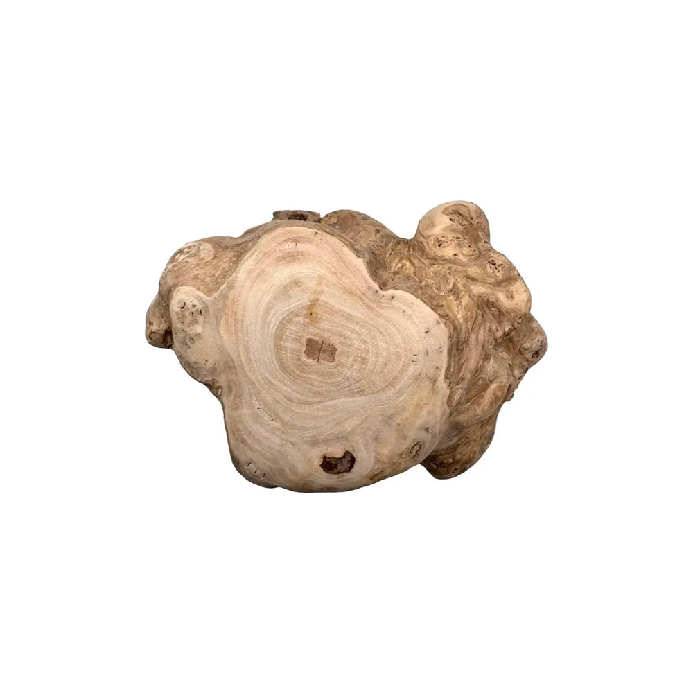 Tronco de Madera de Café Snack Natural para Perros Hobbit Alf HOBBIT.ALF Mascotas-Ávila