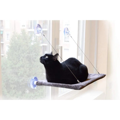 Tumbona Gato Para Ventana 37X47 cm Has 20 kg United Pets UNITED PETS Mascotas-Ávila