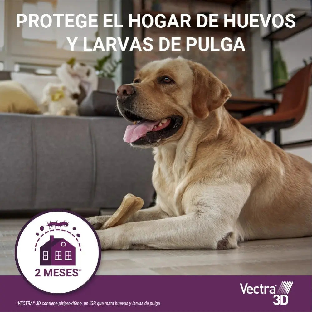 Vectra 3D Pipetas Antiparasitarias para Perros Pack 3 uds VECTRA Mascotas-Ávila