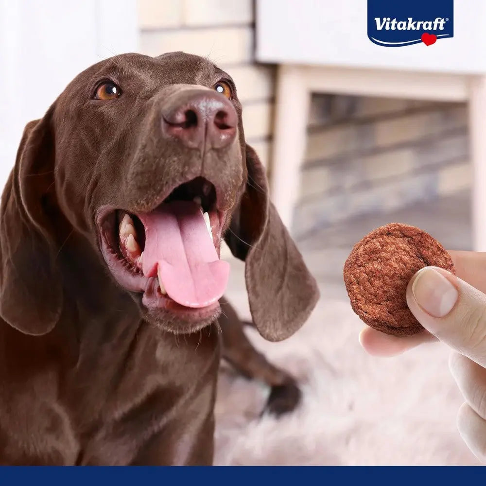 Vitakraft Snack Beef Burguer Hamburguesas para Perros Pack de 3 uds VITAKRAFT Mascotas-Ávila