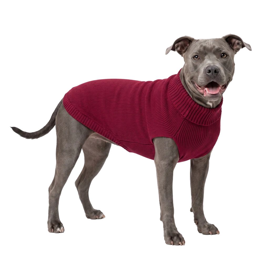 Welova Jersey de Punto Liso Burdeos para Perros WELOVA Mascotas-Ávila