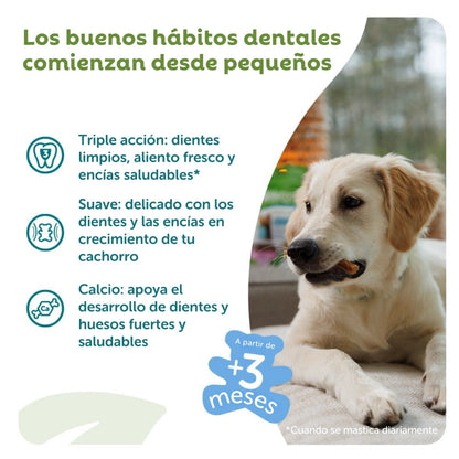 Whimzees Snacks Dentales para Cachorros Puppy Medianos/Grandes - 14 unidades WHIMZEES Mascotas-Ávila