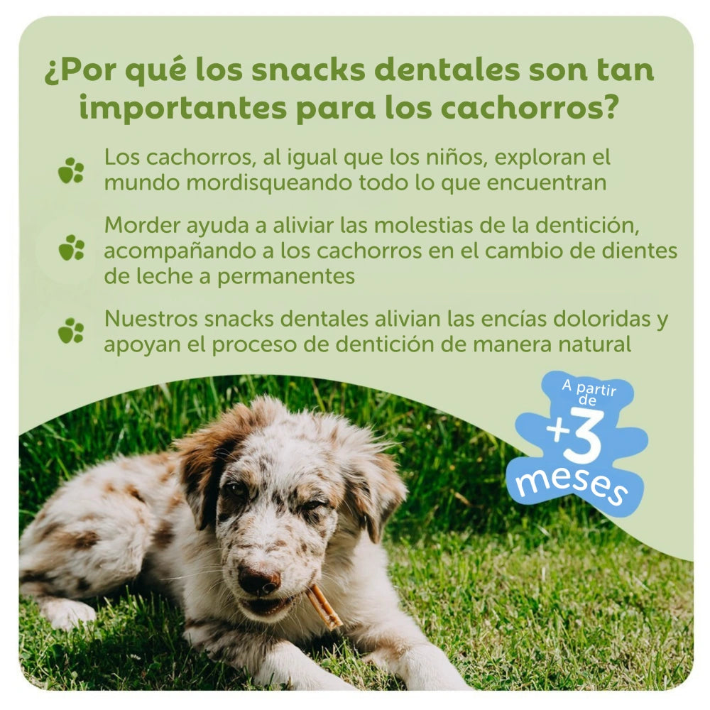 Whimzees Snacks Dentales para Cachorros Puppy Medianos/Grandes - 14 unidades WHIMZEES Mascotas-Ávila