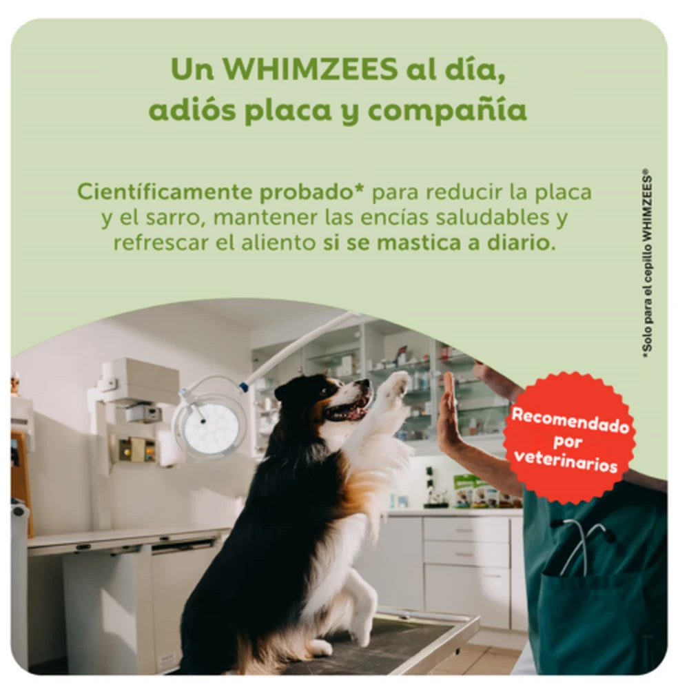 Whimzees Toothbrush Cepillo de Dientes Snack Dental para Perros WHIMZEES Mascotas-Ávila
