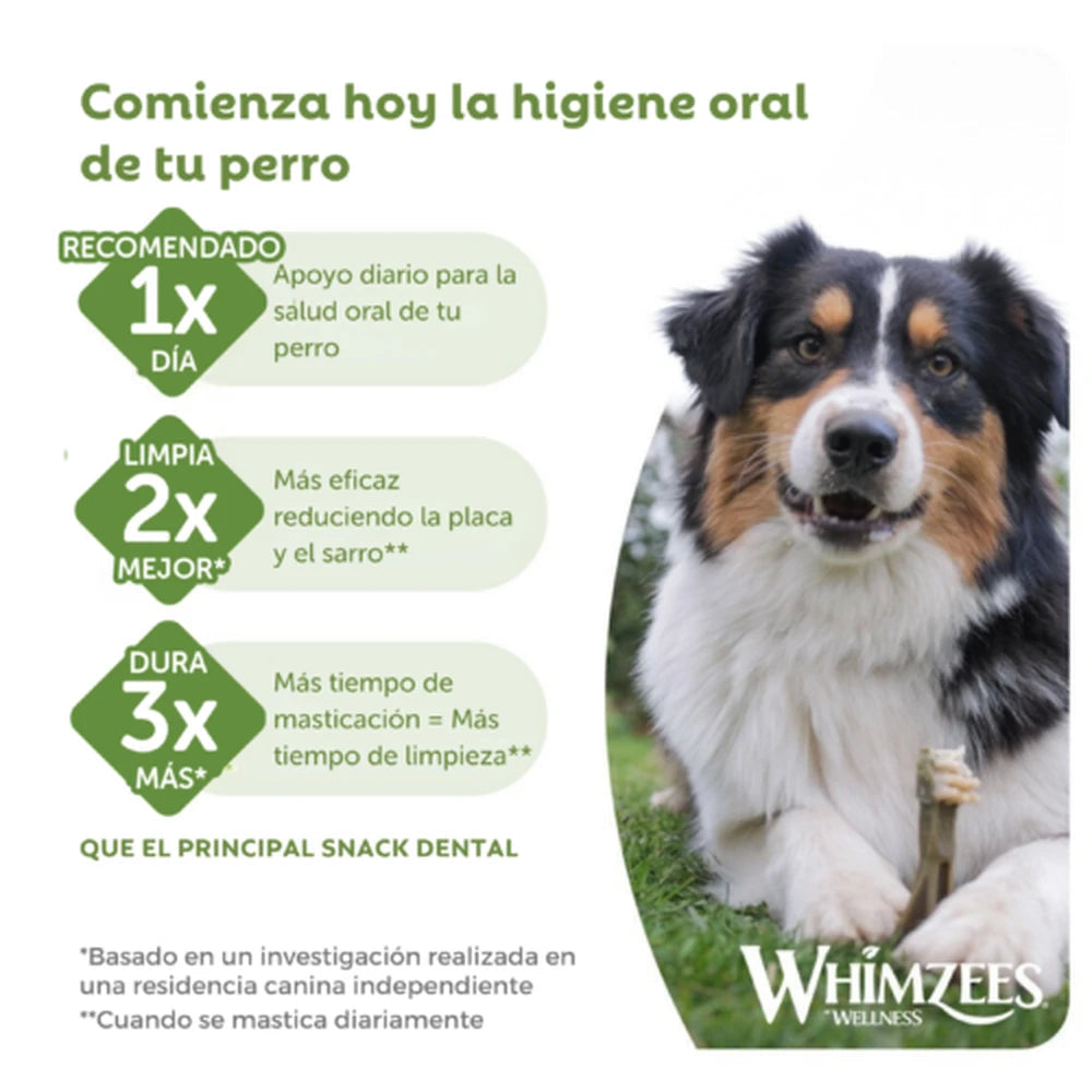 Whimzees Toothbrush Cepillo de Dientes Snack Dental para Perros WHIMZEES Mascotas-Ávila