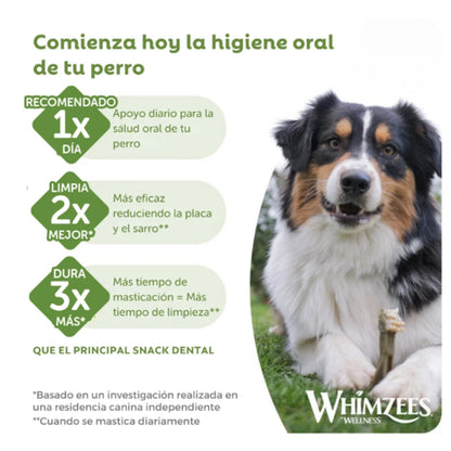 Whimzees Toothbrush Cepillo de Dientes Snack Dental para Perros WHIMZEES Mascotas-Ávila