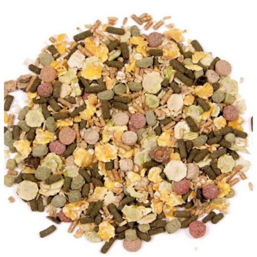 Xtravital Cobaya Alimento BEAPHAR Mascotas-Ávila