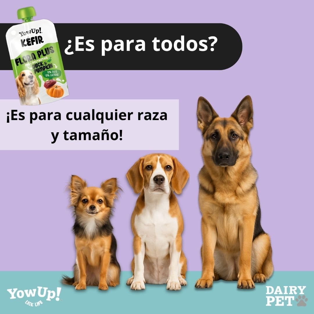 YowUp Flora Plus Kéfir con Pato y Calabaza para Perros 115 g YOWUP Mascotas-Ávila