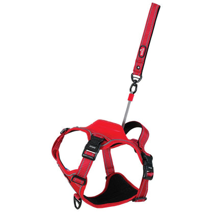 XL / Rojo Zolux Arnés EasyRide con Correa Retráctil para Perros ZOLUX Mascotas-Ávila