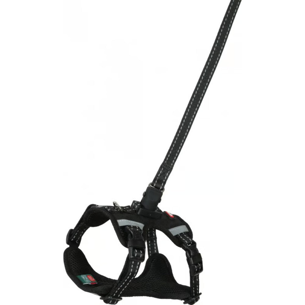 XL / Negro Zolux Kit Correa 2M y Arnés Clip & Go para Perros ZOLUX Mascotas-Ávila