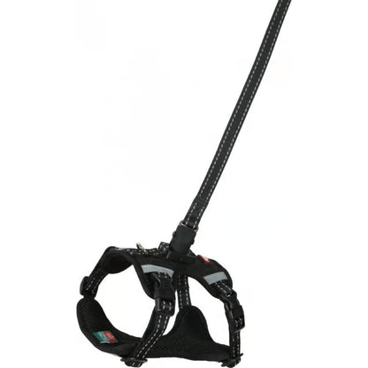 XL / Negro Zolux Kit Correa 2M y Arnés Clip & Go para Perros ZOLUX Mascotas-Ávila