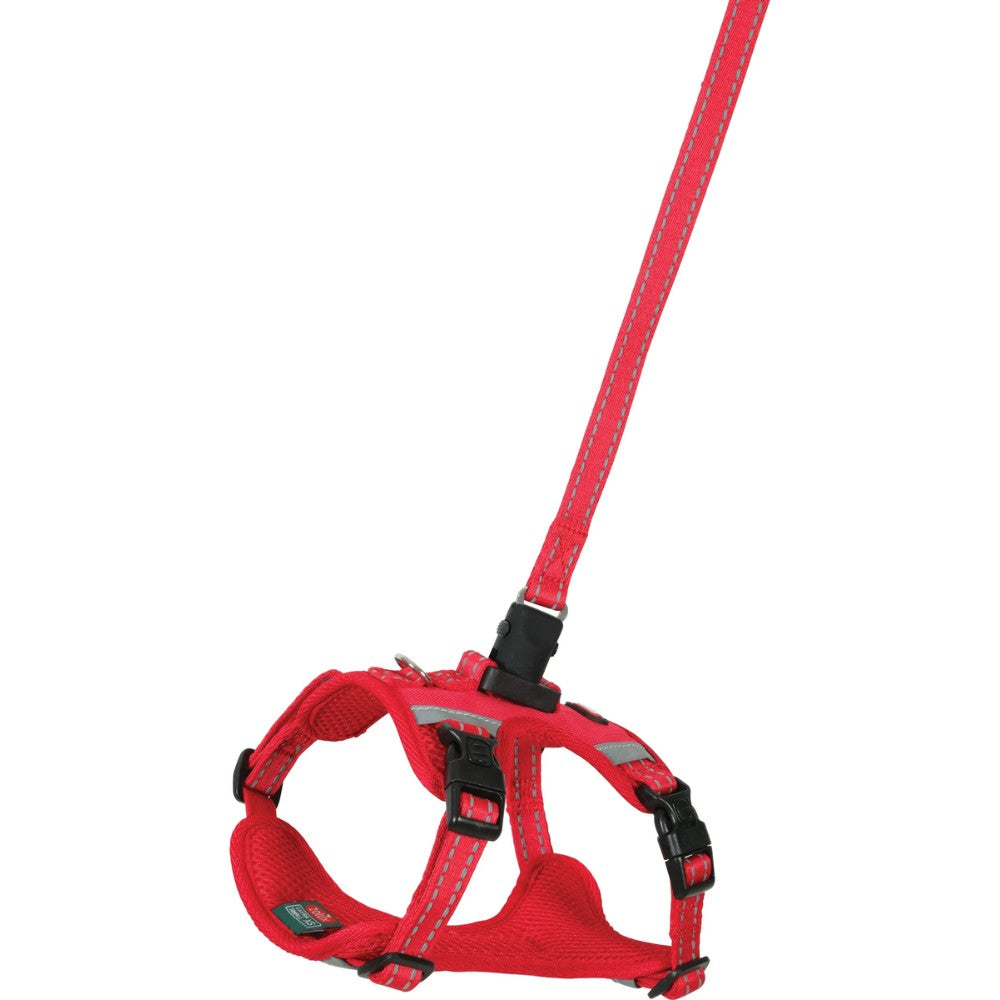 XL / Rojo Zolux Kit Correa 2M y Arnés Clip & Go para Perros ZOLUX Mascotas-Ávila