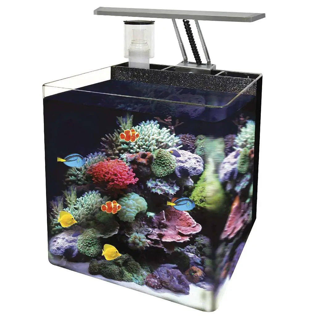 Acuario Kit Nano Marino Negro 34 31X31X36Cm - Mejor Precio - Mascotas Ávila