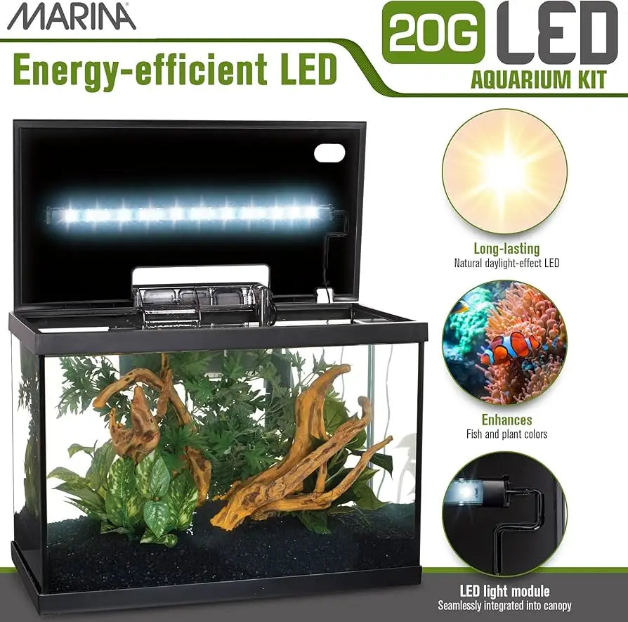 Acuario Marina Led 20G Kit 75L. (61,4X32,2X41.9Cm) - Mejor Precio - Mascotas Ávila