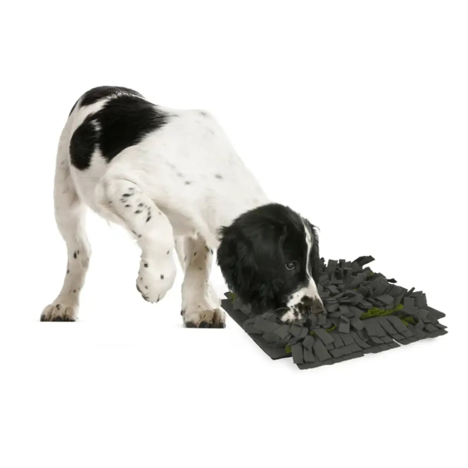 Alfombra Olfativa para Perros - Antideslizante y con Funda Extraíble - Mejor Precio - Mascotas Ávila