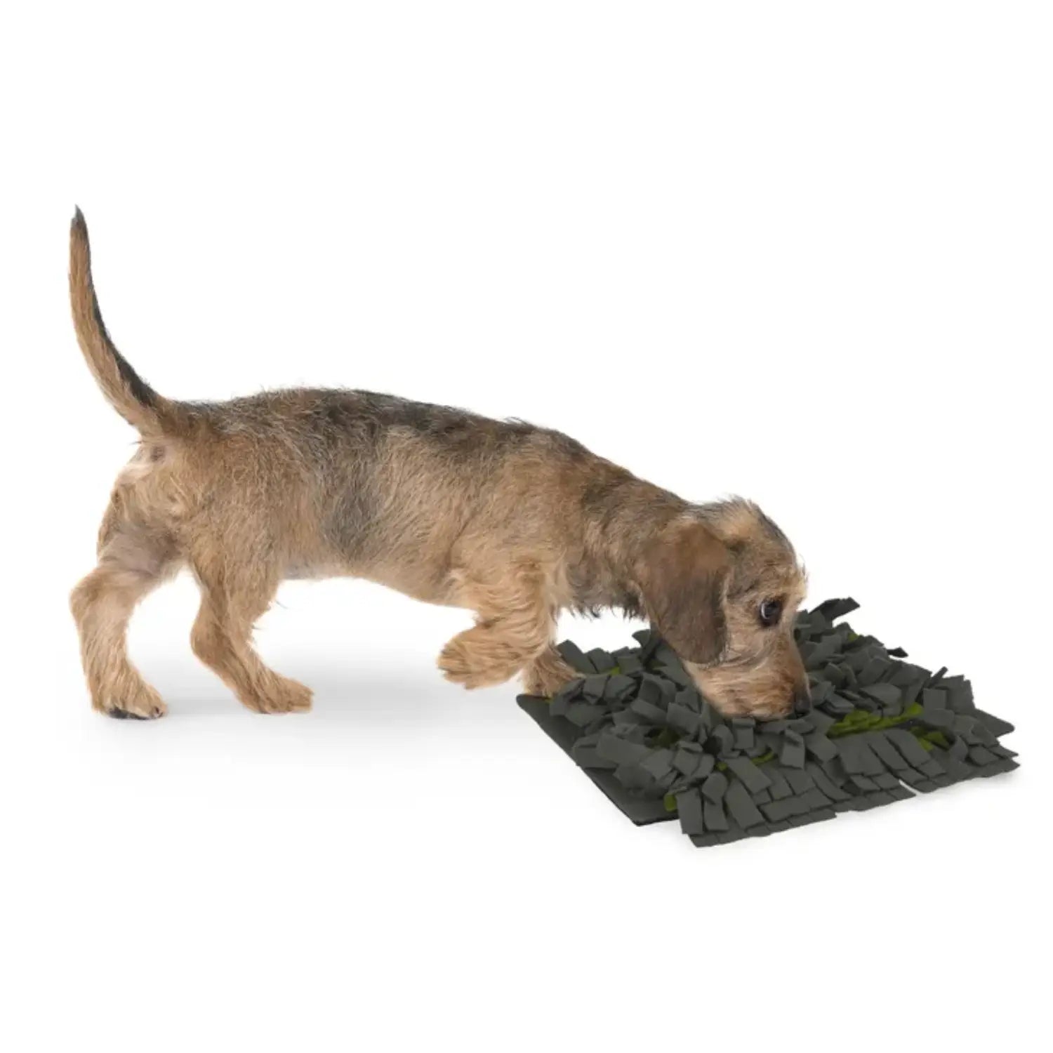 Alfombra Olfativa para Perros - Antideslizante y con Funda Extraíble - Mejor Precio - Mascotas Ávila