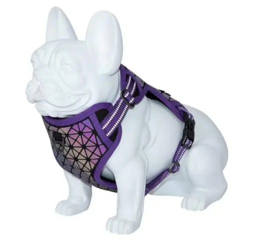 Arnés para perros Freedog Boreal - Mejor Precio - Mascotas Ávila