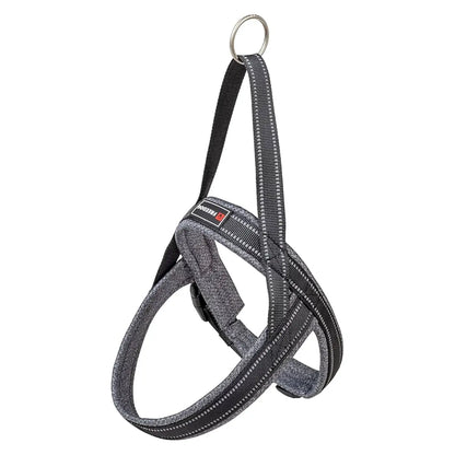 Arnés Shiva Sport Freedog - Mejor Precio - Mascotas Ávila