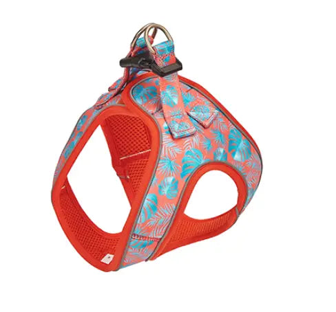 Freedog Summer Arnés Coral Palm T-S 35-40Cm - Mejor Precio - Mascotas Ávila