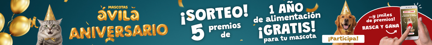 Banner 1