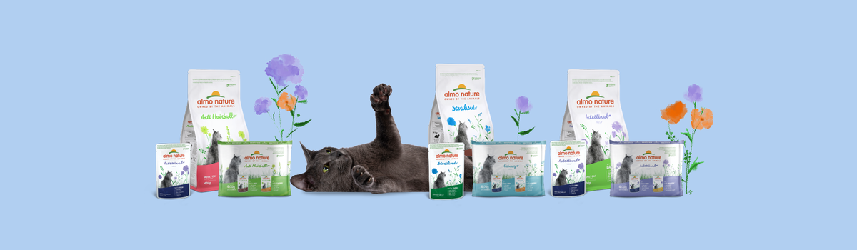 Banner promocional Almo Nature Intestinal Help Cordero Pienso para Gatos