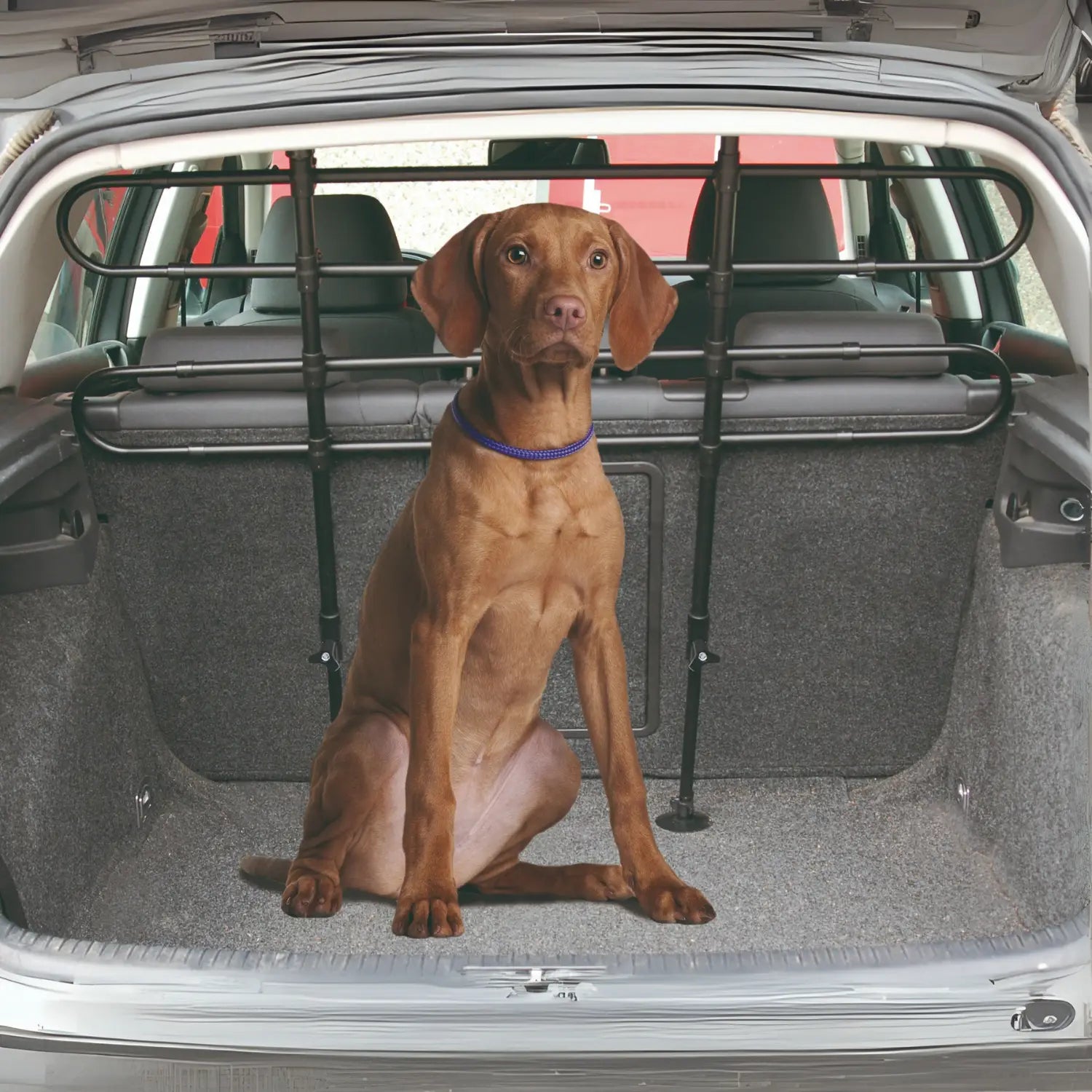 Rejilla Metálica Ajustable Dos Barras Separador Perro para Coche - Mejor Precio - Mascotas Ávila