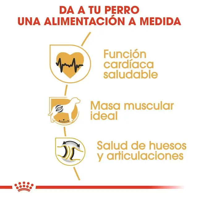 Royal Canin Rottweiler 26 - Mejor Precio - Mascotas Ávila