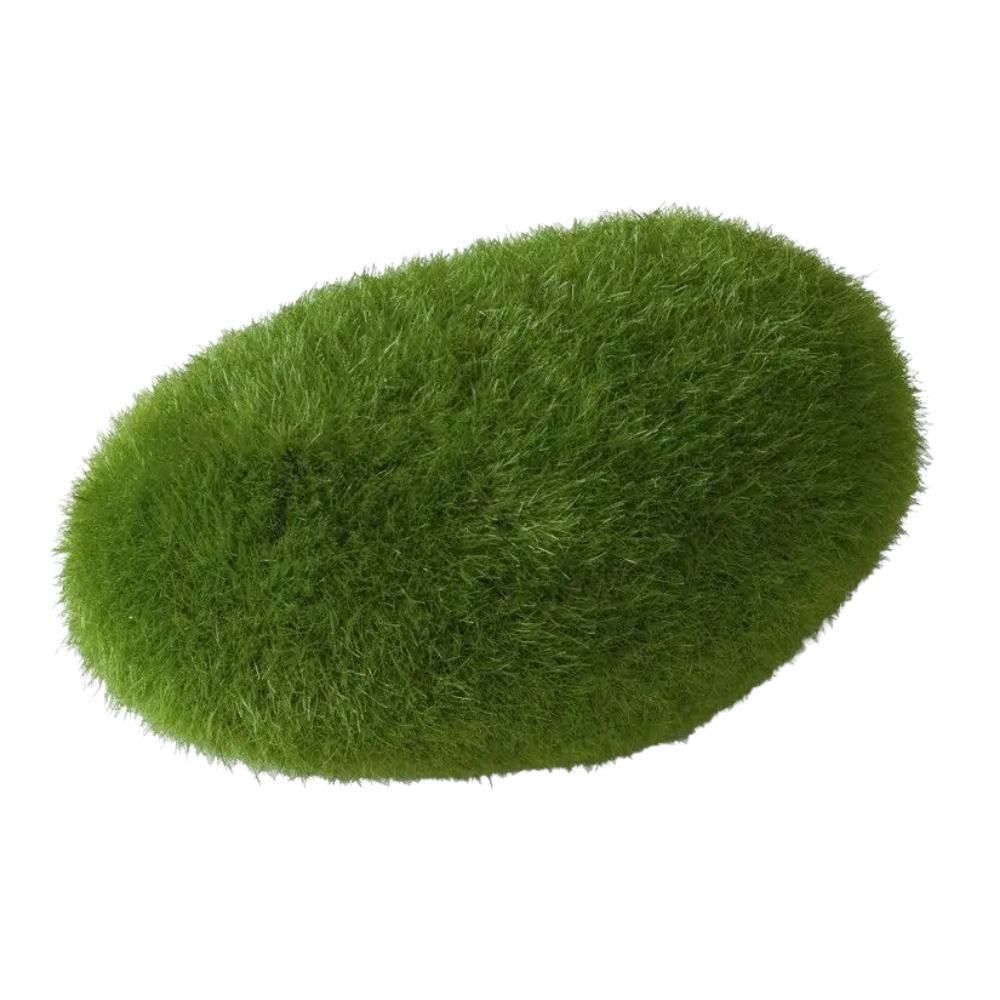 Aqua D'Ella Bola Musgo AQUA DELLA Mascotas-Ávila