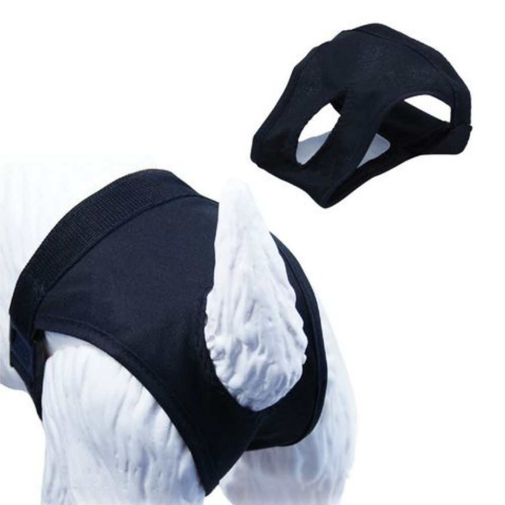 Braga Para Perras Gloria