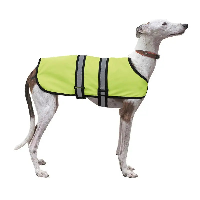 CAPA WATER RESISTANT X-TREK NEON 70 CM - Mejor Precio - Mascotas Ávila