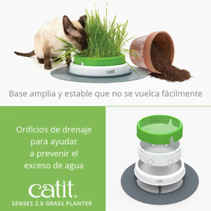 Catit Senses 2.0 Germinador Con Hierba Gatera - Mejor Precio - Mascotas Ávila