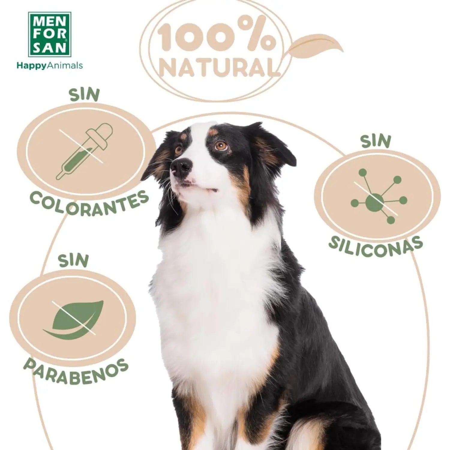 Menforsan Champú en Seco para Perros con Aceite de Argán 250 ml - Mejor Precio - Mascotas Ávila