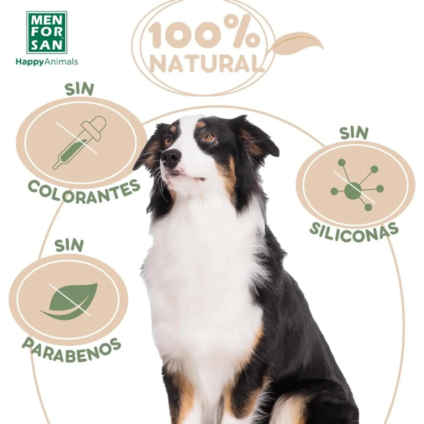 Menforsan Champú en Seco para Perros con Aceite de Argán 250 ml - Mejor Precio - Mascotas Ávila