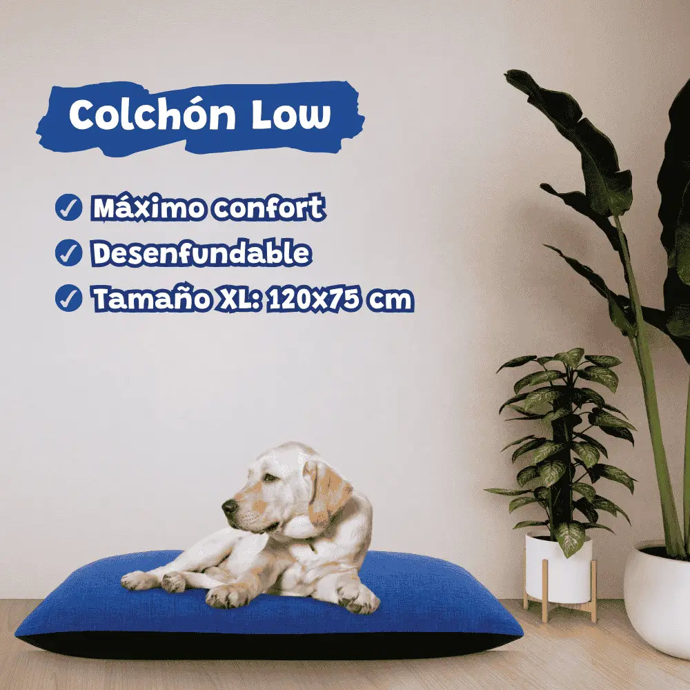 Colchón Low Desenfundable para Perros Yagu YAGU