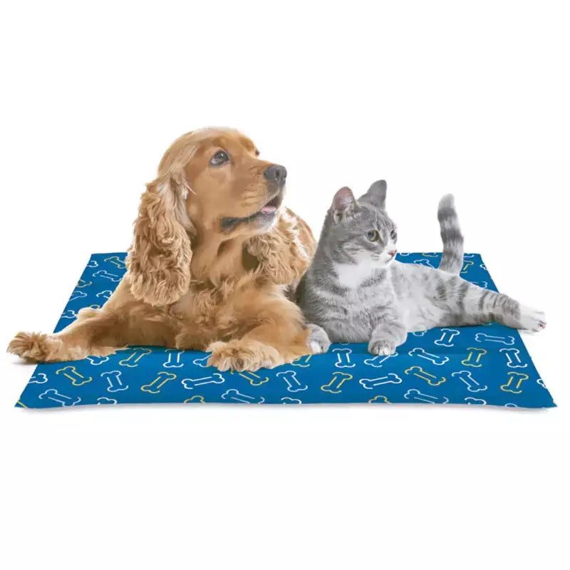 Colchoneta Refrigerante Bones - Mejor Precio - Mascotas Ávila