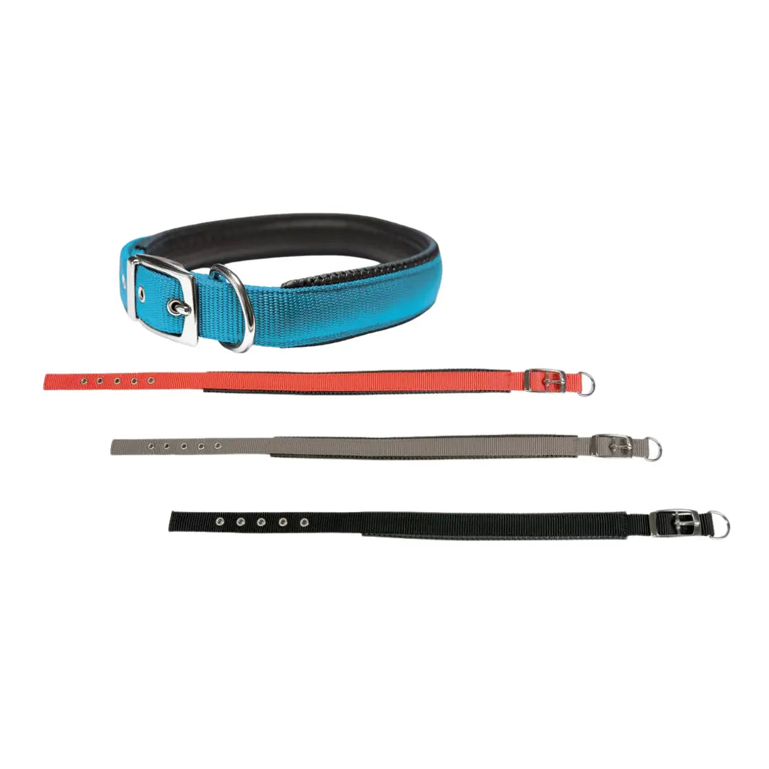 Collar Confort - Mejor Precio - Mascotas Ávila