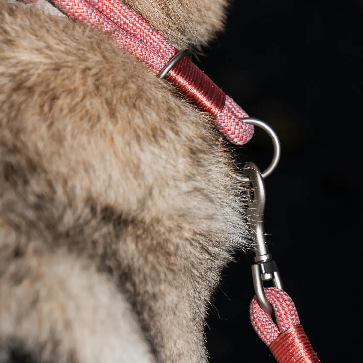 Collar Craft Round Recycled Freedog - Mejor Precio - Mascotas Ávila
