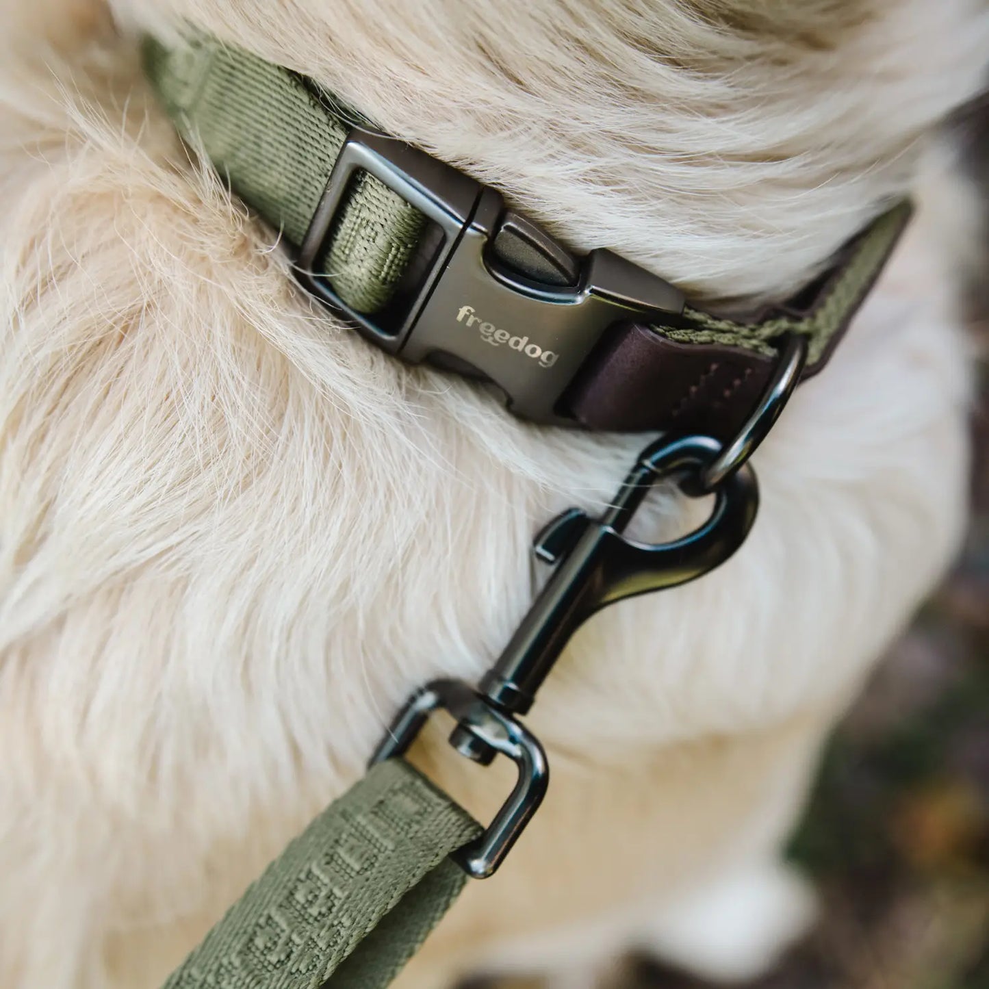 Collar Linum Freedog - Mejor Precio - Mascotas Ávila