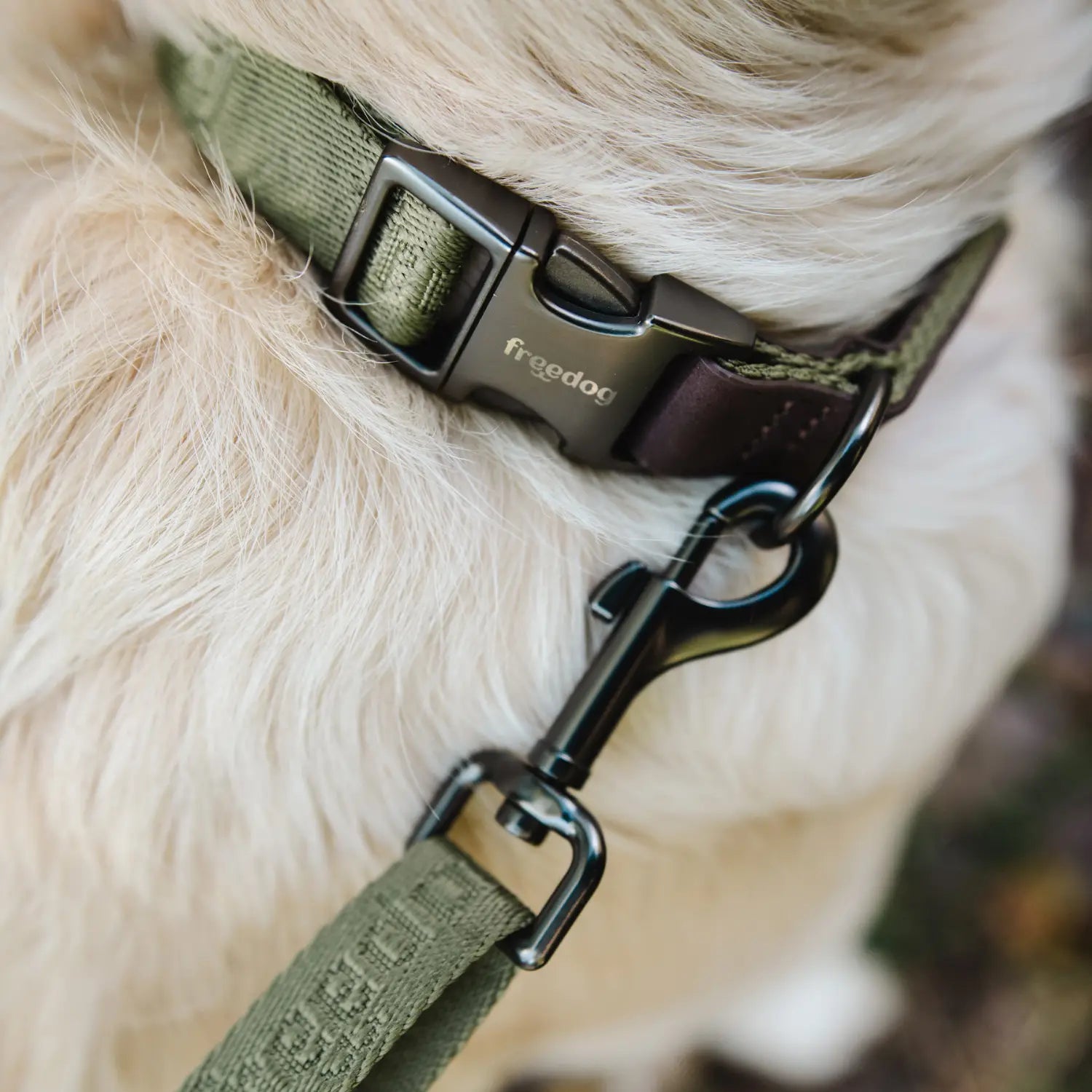 Collar Linum Freedog - Mejor Precio - Mascotas Ávila