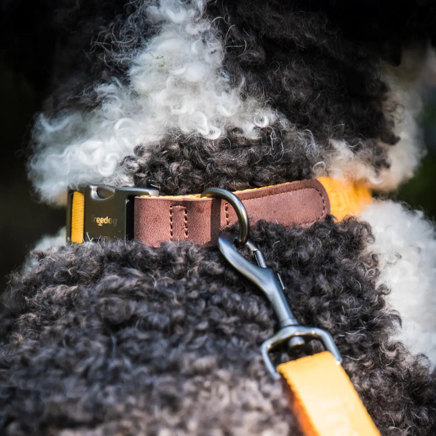 Collar Linum Freedog - Mejor Precio - Mascotas Ávila