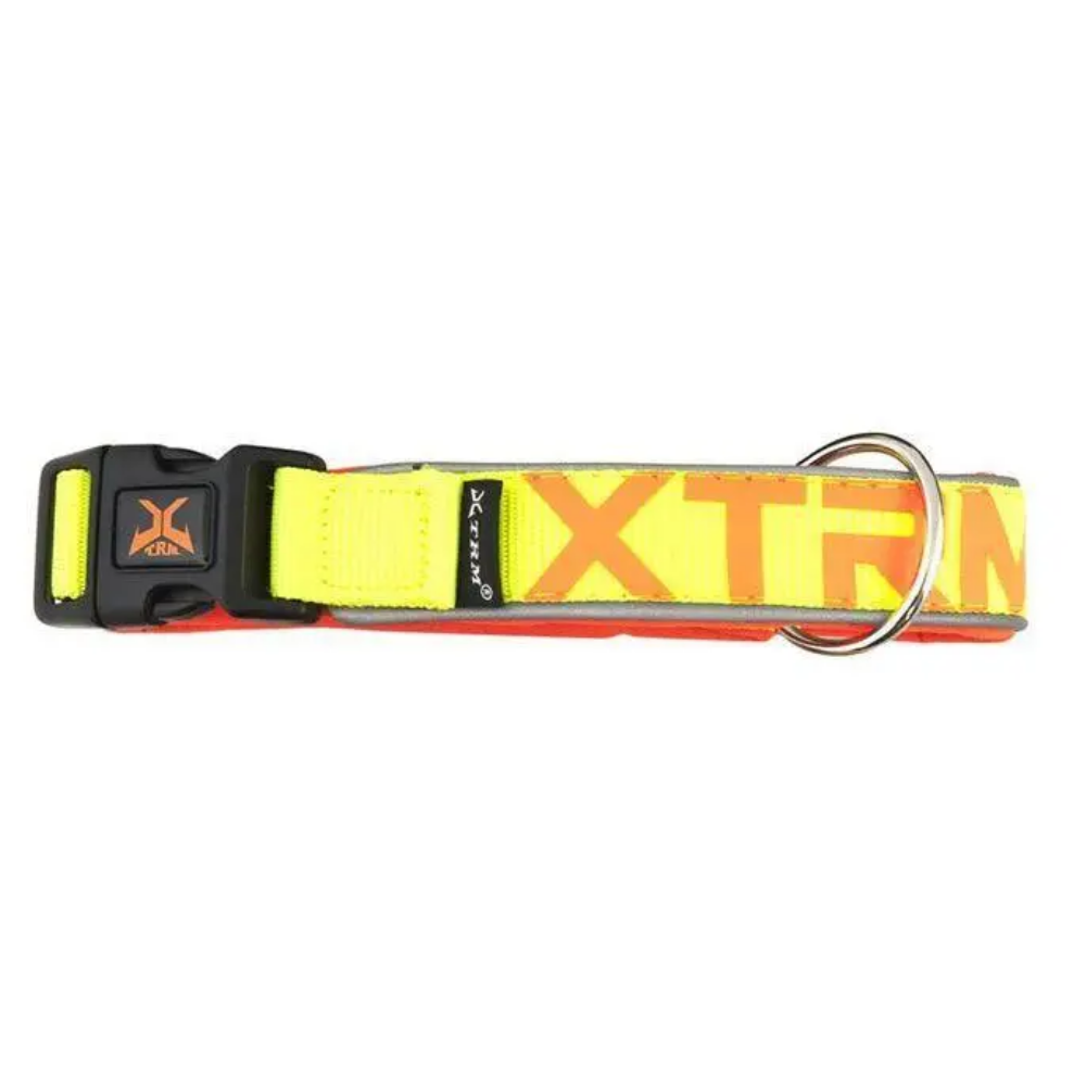 Collar X-Trm Neon Flash Naranja 38Mmx65-75 cm