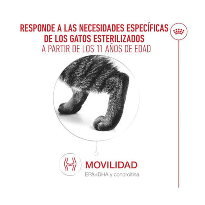 Royal Canin Ageing Sterilised 11+ Pienso para Gatos Senior Esterilizados